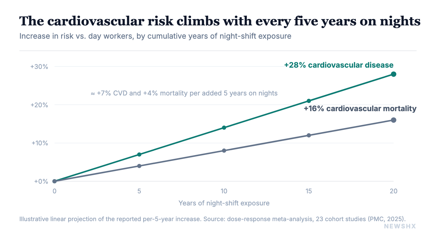 The risk is dose-dependent: it accrues with tenure, which is why capping lifetime night exposure is a defensible workforce-health policy. Illustrative linear projection of the reported per-5-year increase.